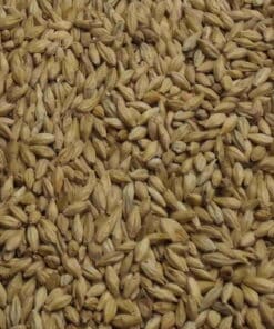 Munich Malt, Fuglsang, EBC: 12–16, 25 kg