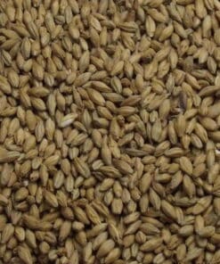 <trp-post-container>Pale Ale Malt, Fuglsang, EBC: 6.5 - 8.5, 25 kg</trp-post-container