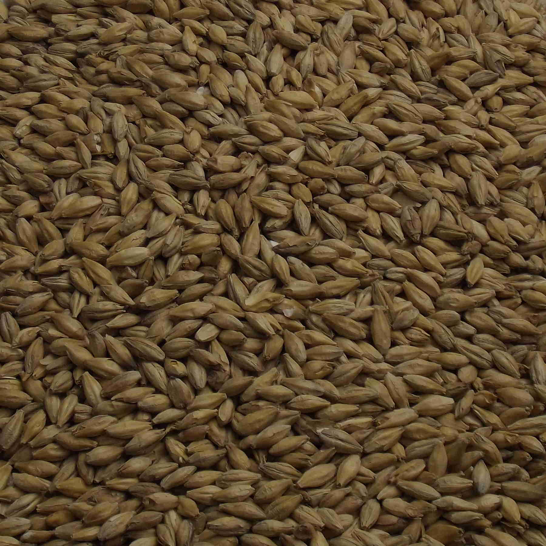Barley Diastatic Malt, Weyermann, EBC: 3 – 5