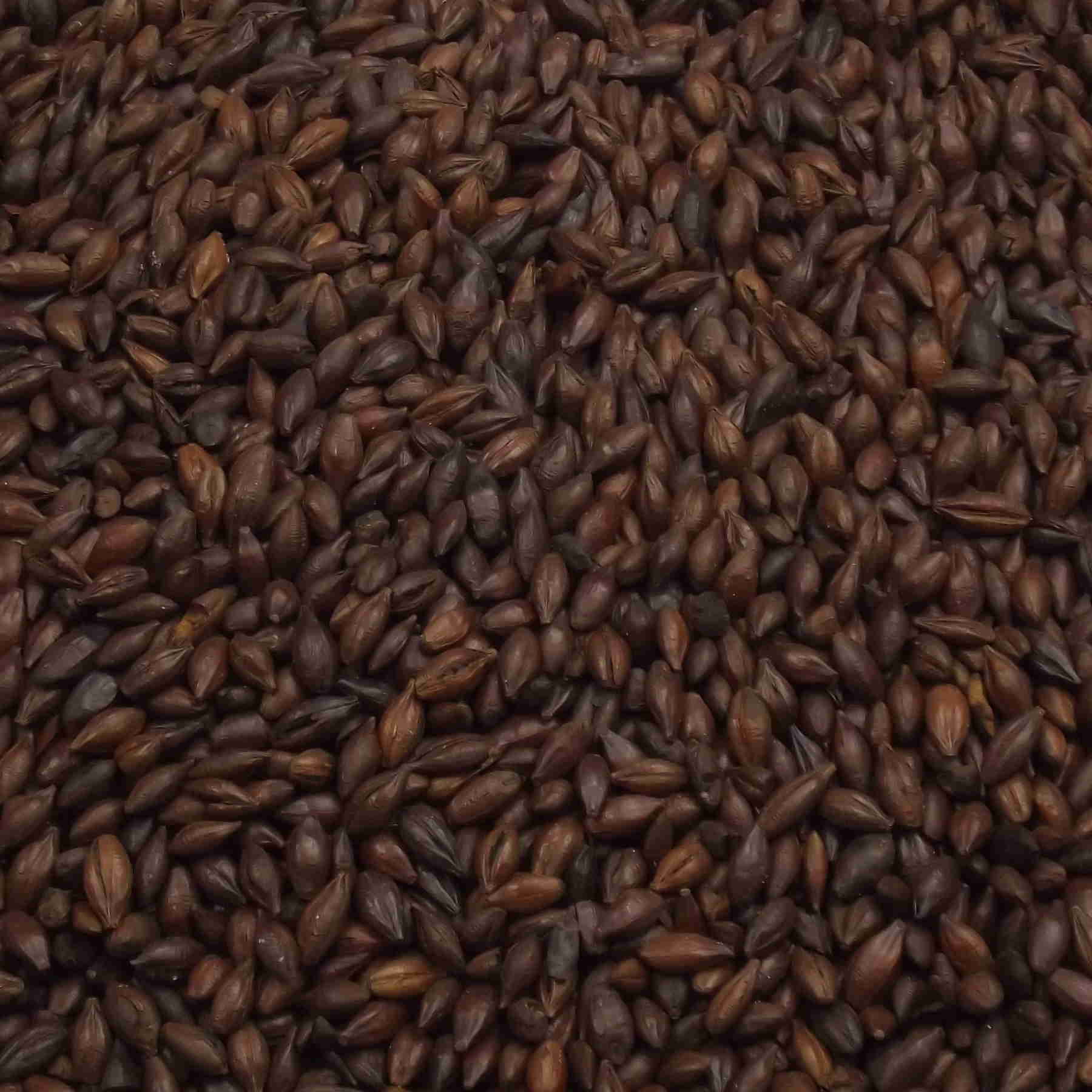 Black Malt, Fawcett, EBC: 1200 – 1400