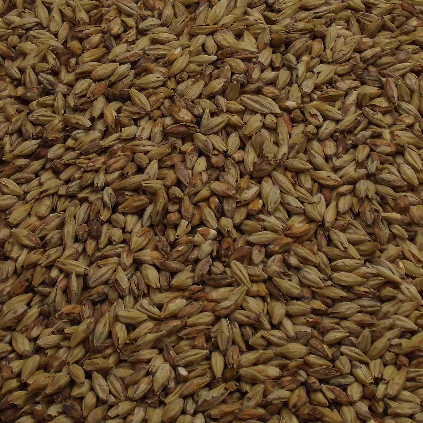 CARAAMBER®, Weyermann®, EBC: 60 – 80