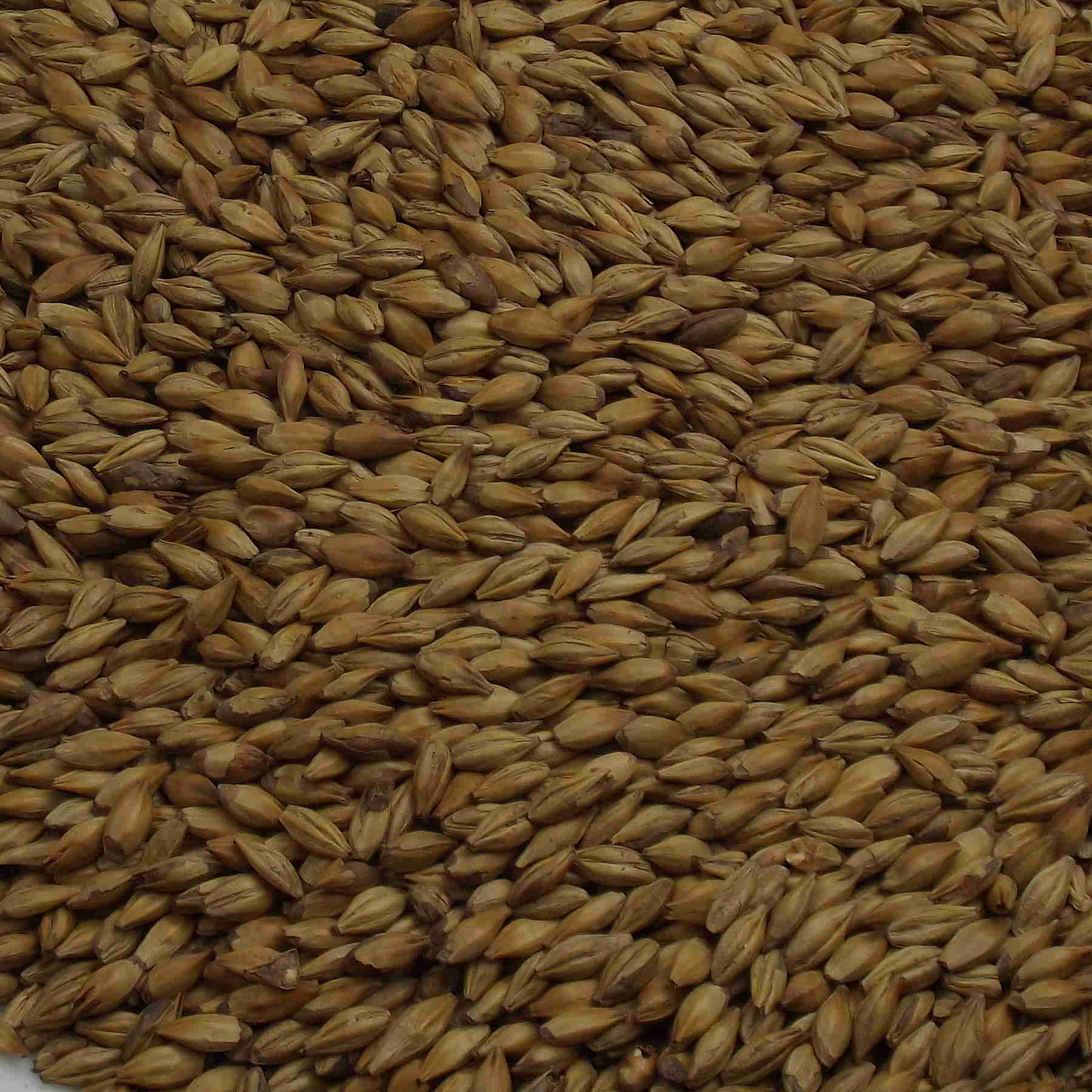 Cara Malt, Fawcett, EBC: 25 – 30