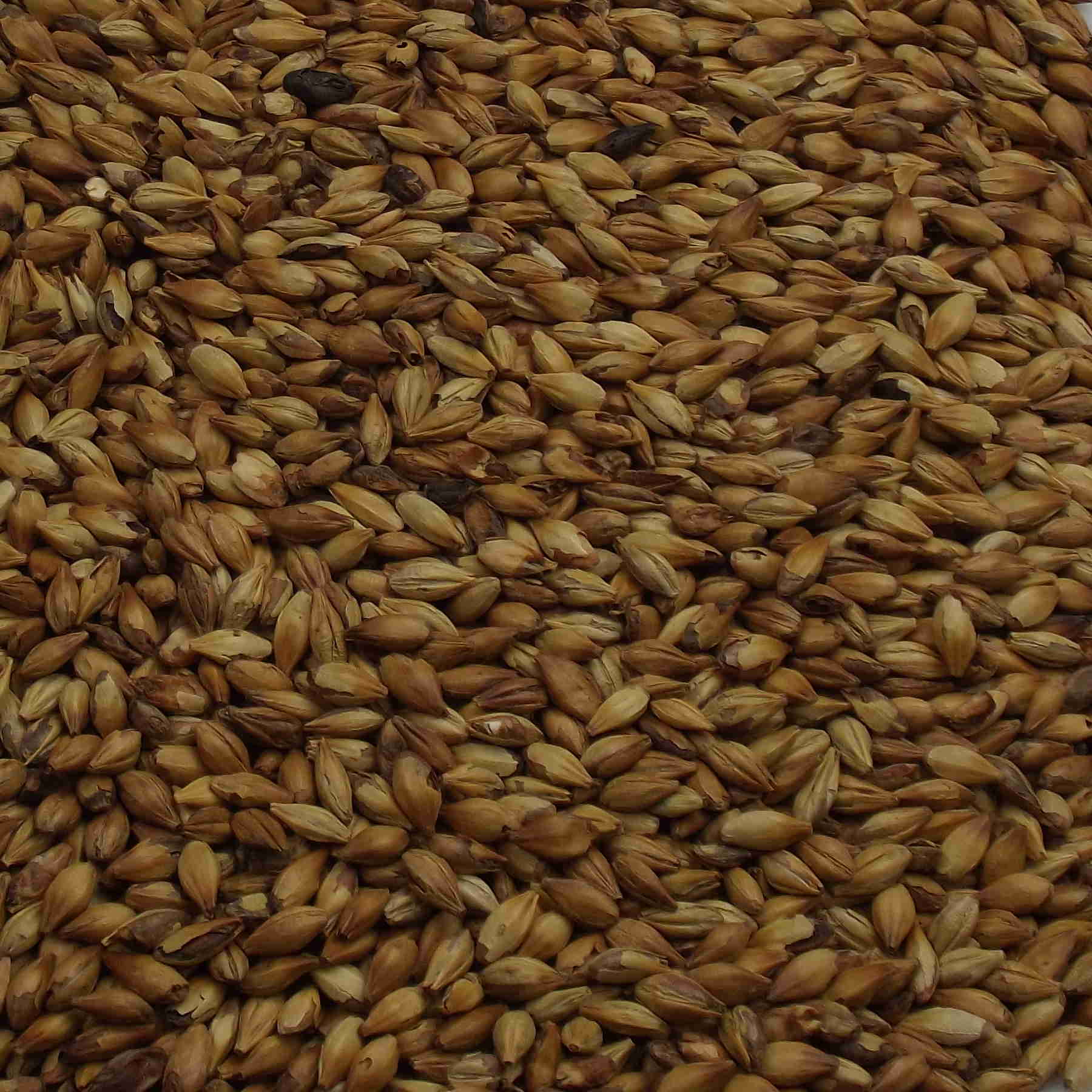 Red X Malt, BESTMALZ, EBC: 28 – 32