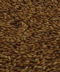 Fuglsang Nut, EBC: 100, 25 kg