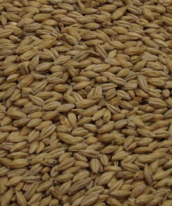 CARA PILS, Weyermann, EBC: 3 – 5, 25 kg