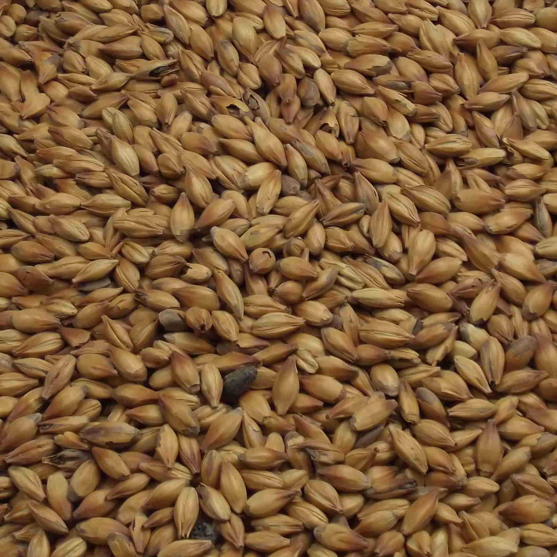 Crystal Malt, Fawcett, EBC: 120 – 140