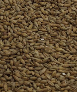 Golden Promise Ale Malt, Fawcett, EBC: 7,0 – 7,9