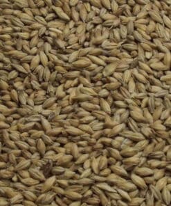 Maris Otter Pale Ale Malt, Fawcett, EBC: 4,5 – 5,5