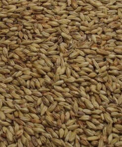 Melanoidin Malt, Weyermann, EBC: 60 – 80