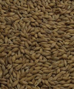 Mild Ale Malt, Fawcett, EBC: 7,0 – 7,9