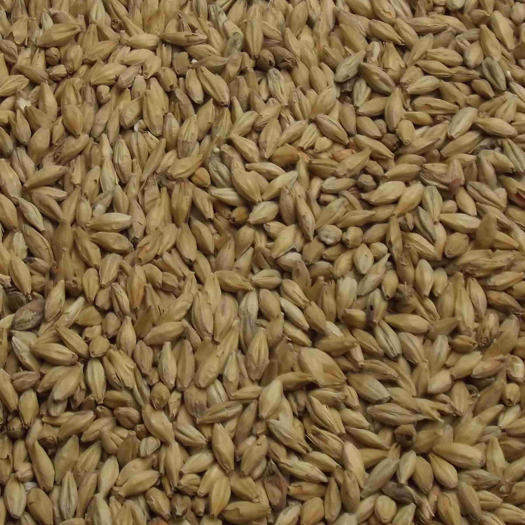 Münchner Malt, Fuglsang, EBC: 12 – 16