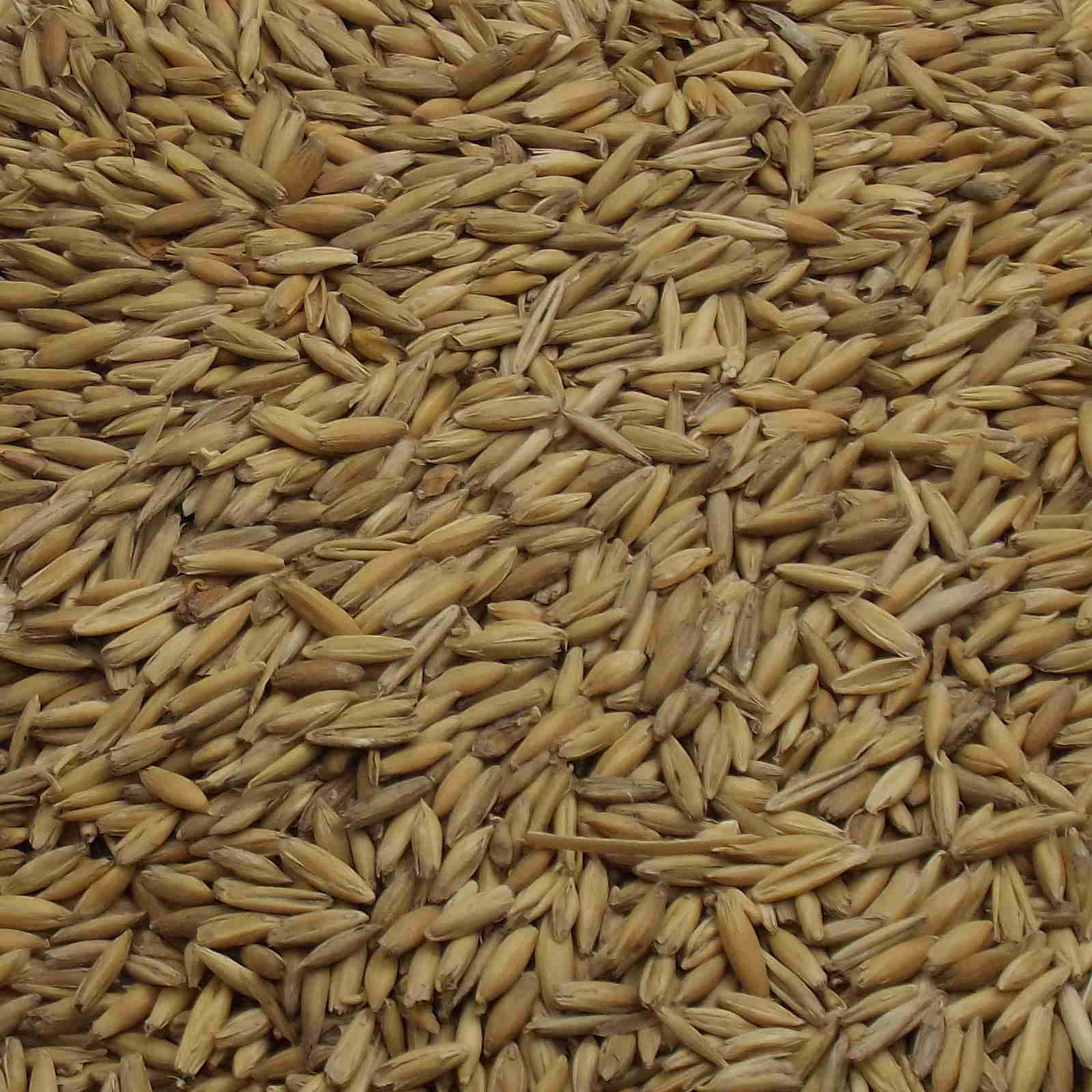 Oat Malt, Fawcett, EBC: 4,0