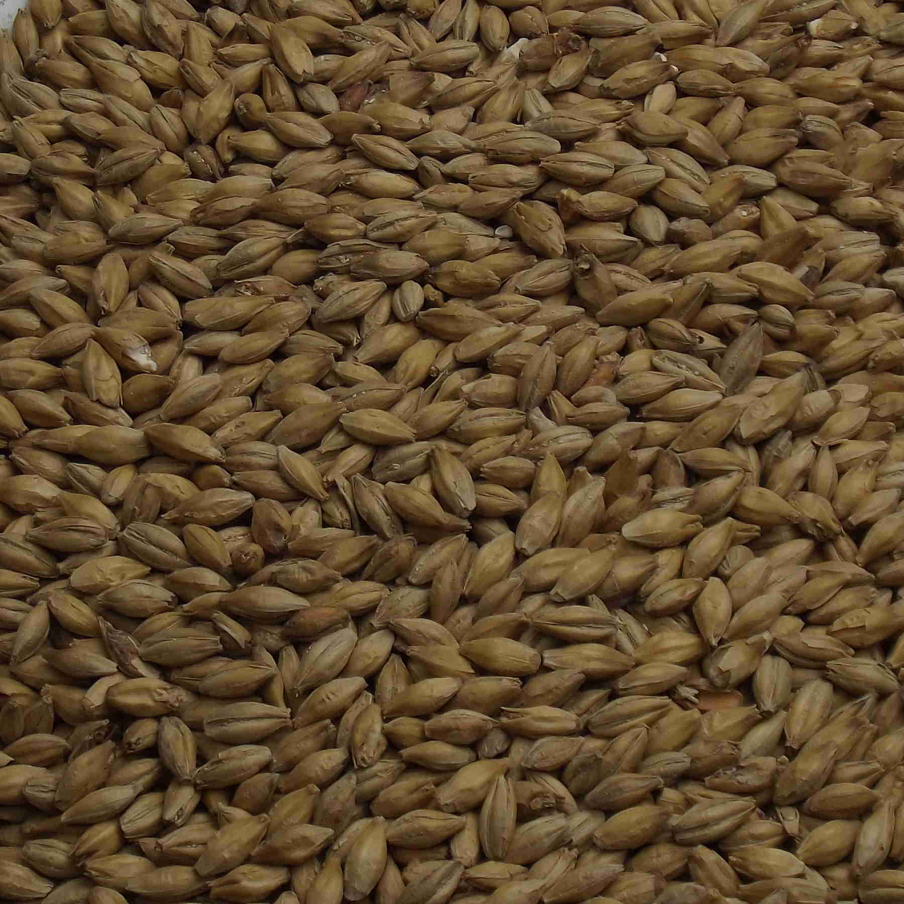 Spring Malt, Fawcett, EBC: 4,5 – 5,5