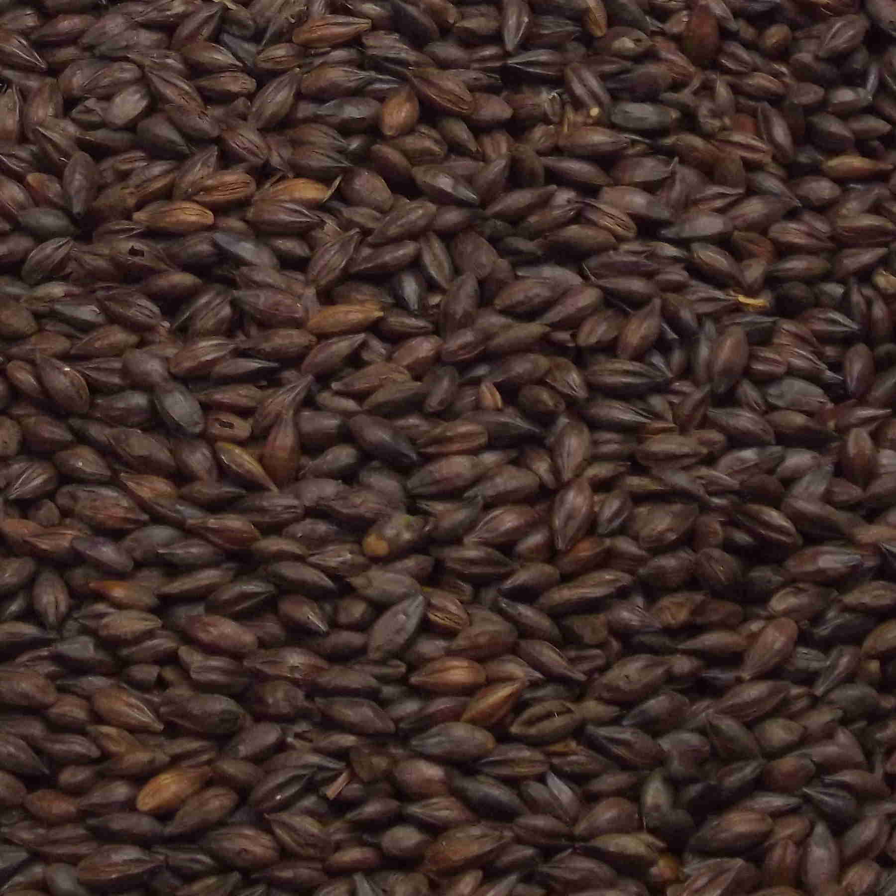 Pale Chocolate Malt, Fawcett, EBC: 500 – 600