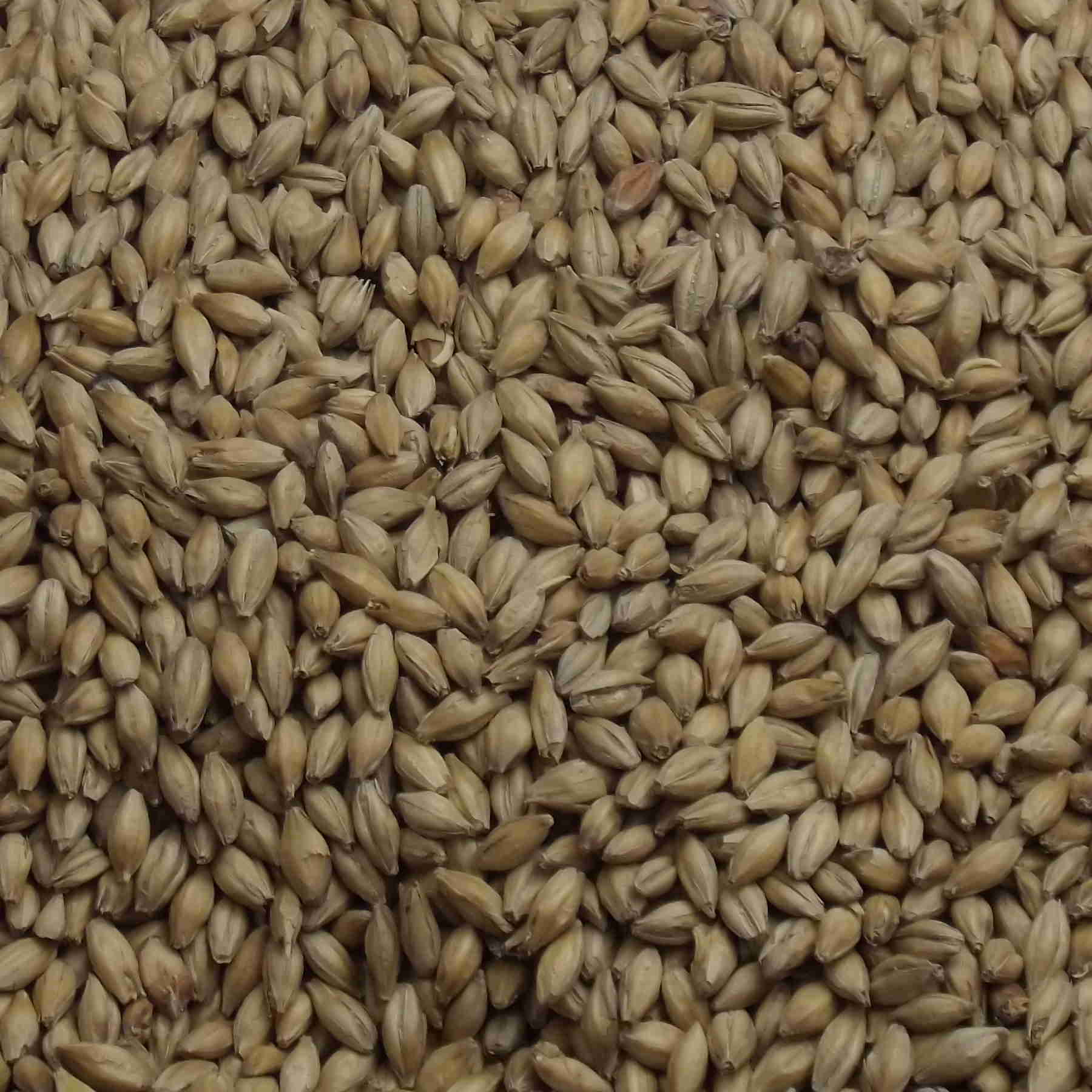 Pearl Malt, Fawcett, EBC: 4,5 – 5,5