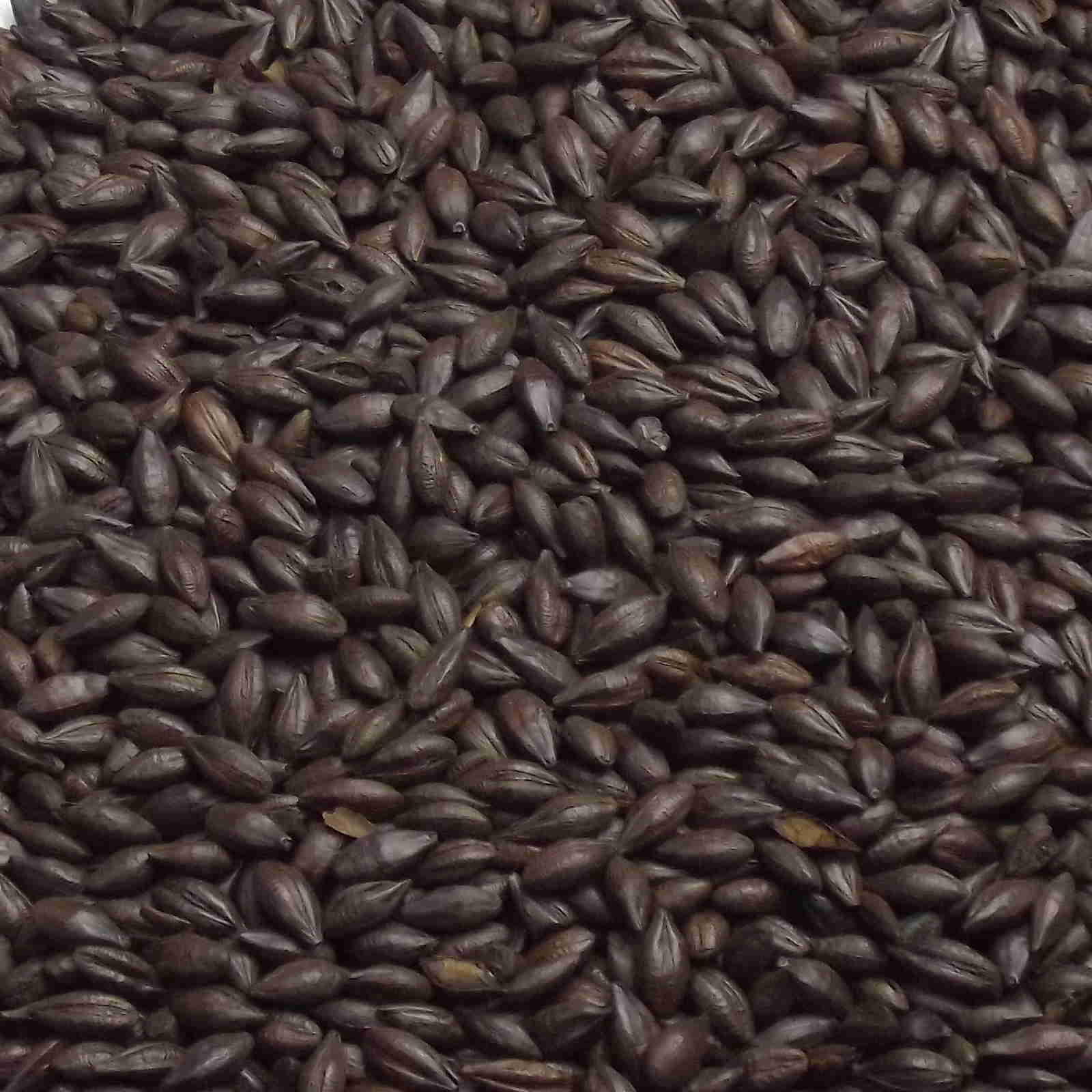Ristet byg (Roasted Barley), Fawcett, EBC: 1300 – 1600