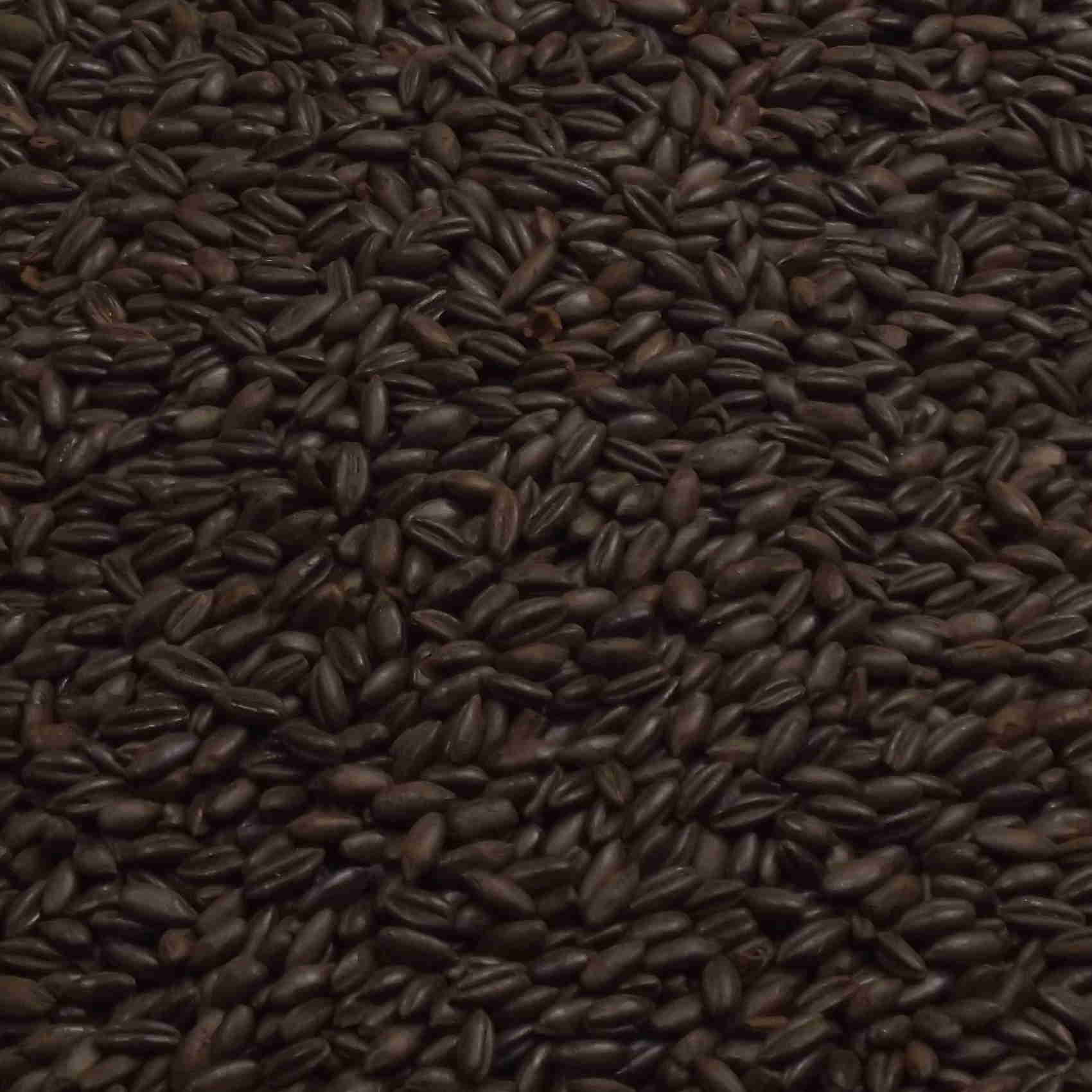 Ristet rug (Roasted Rye), Weyermann, EBC: 500 – 800