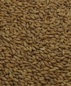 Beech Smoked Barley Malt, Weyermann, EBC: 4 – 8